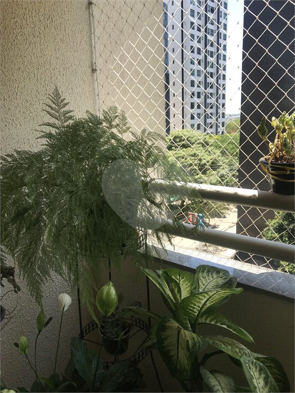 Apartamento à venda com 3 quartos, sendo 1 suíte, em Parque Residencial Aquarius, São José dos Campos, SP