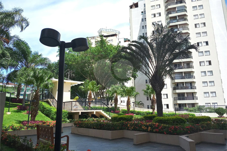 Apartamento à venda com 3 quartos, sendo 1 suíte, em Lauzane Paulista, São Paulo, SP