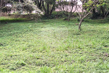Terreno à venda em Marambaia, Vinhedo, SP