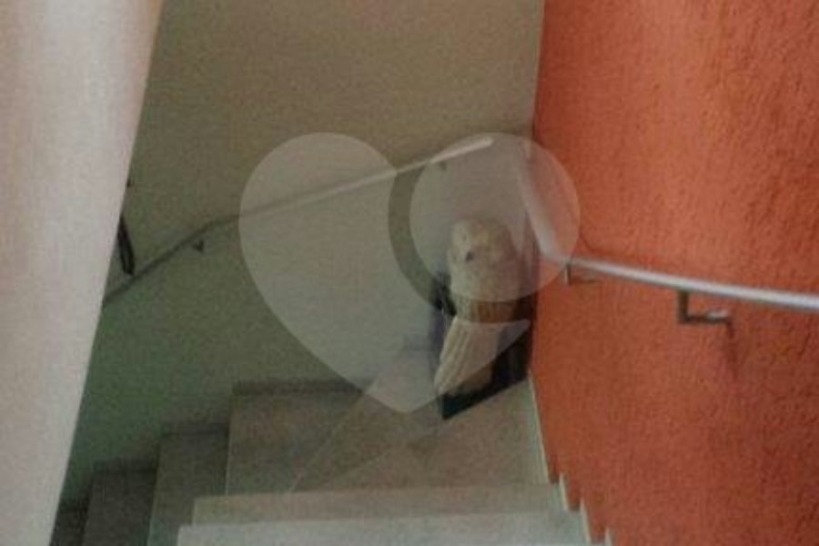 Casa à venda com 3 quartos, sendo 1 suíte, no condomínio Travessa Bruno Andreoni,16, São Paulo - SP