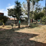 Casa Térrea à venda com 4 quartos em Vila Ernesto, São Paulo, SP