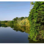 Chácara à venda com 5 quartos, sendo 2 suítes, em Chácara Recreio Danubio, Holambra, SP