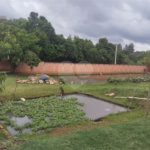 Chácara à venda com 3 quartos, sendo 1 suíte, em Chácara Flora Araraquara, Araraquara, SP