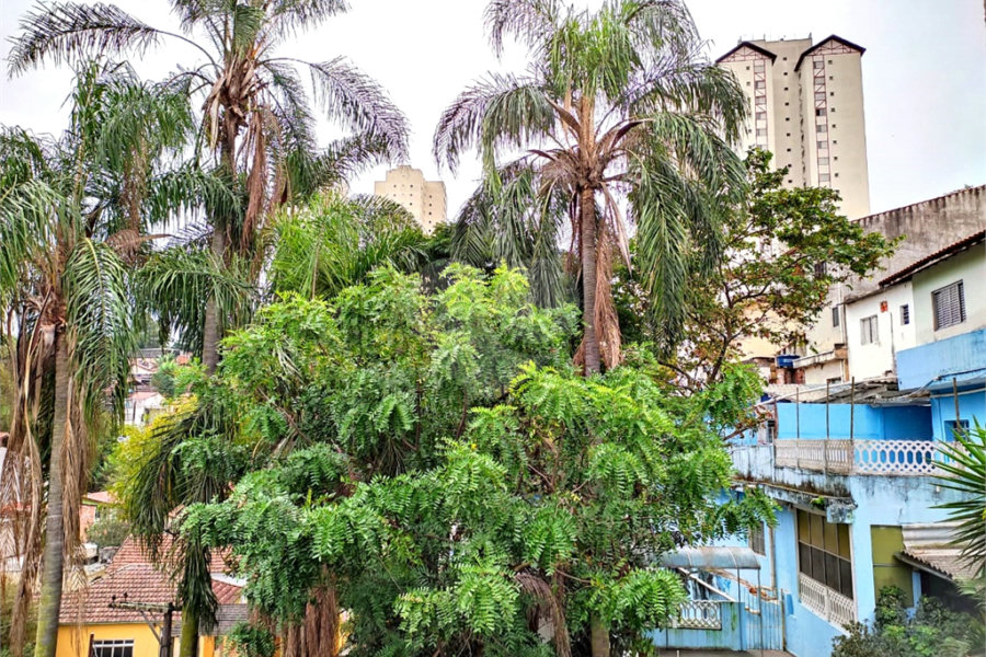 Terreno à venda com 5 quartos em Mandaqui, São Paulo, SP