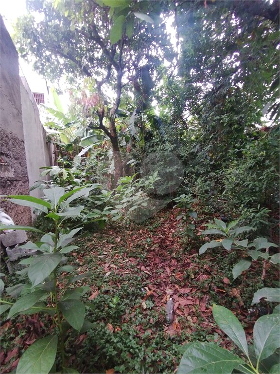 Terreno à venda em Vila Carmosina, São Paulo, SP