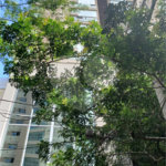 Apartamento à venda com 3 suítes em Jardim Fonte do Morumbi, São Paulo, SP