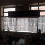 Apartamento à venda com 2 quartos em Água Fria, São Paulo, SP