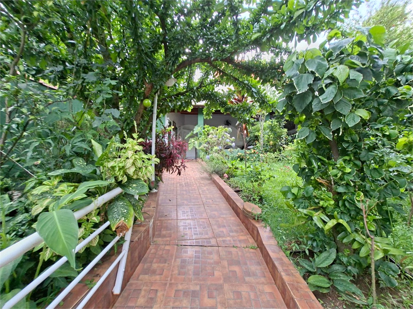 Casa à venda ou para alugar com 4 quartos, sendo 2 suítes, em Vila Mazzei, São Paulo, SP