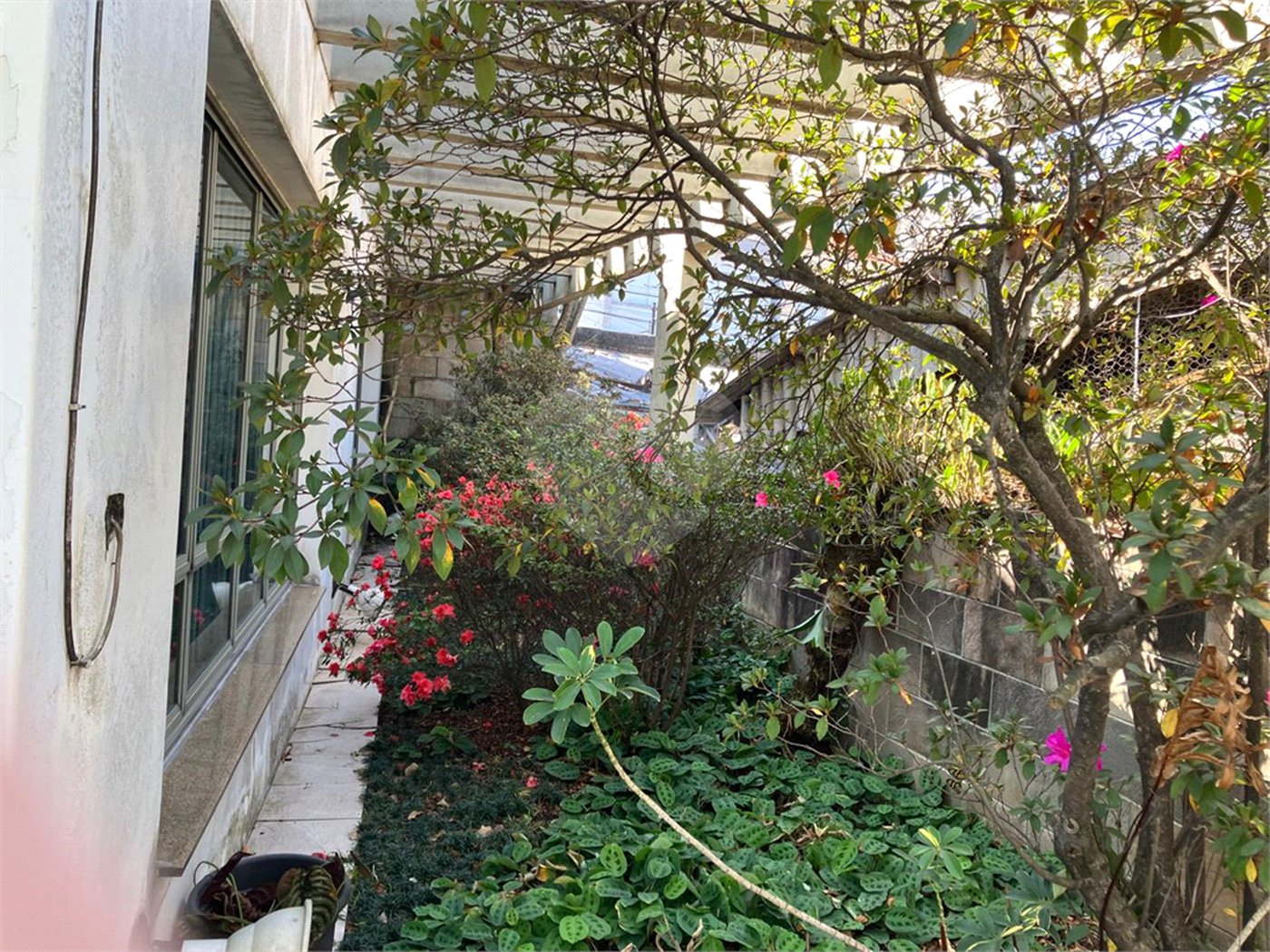 Casa à venda com 5 quartos, sendo 2 suítes,  em Vila Maria Alta, São Paulo, SP