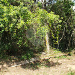 Terreno à venda em Serra da Cantareira, Mairiporã, SP