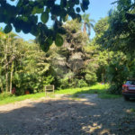Terreno à venda em Horto, São Paulo, SP
