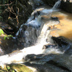 Terreno à venda com 1 quarto no condomínio Ecovile Araçariguama, Araçariguama - SP