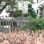 Apartamento à venda com 3 quartos, sendo 1 suíte, em Vila Aurora (zona Norte), São Paulo, SP