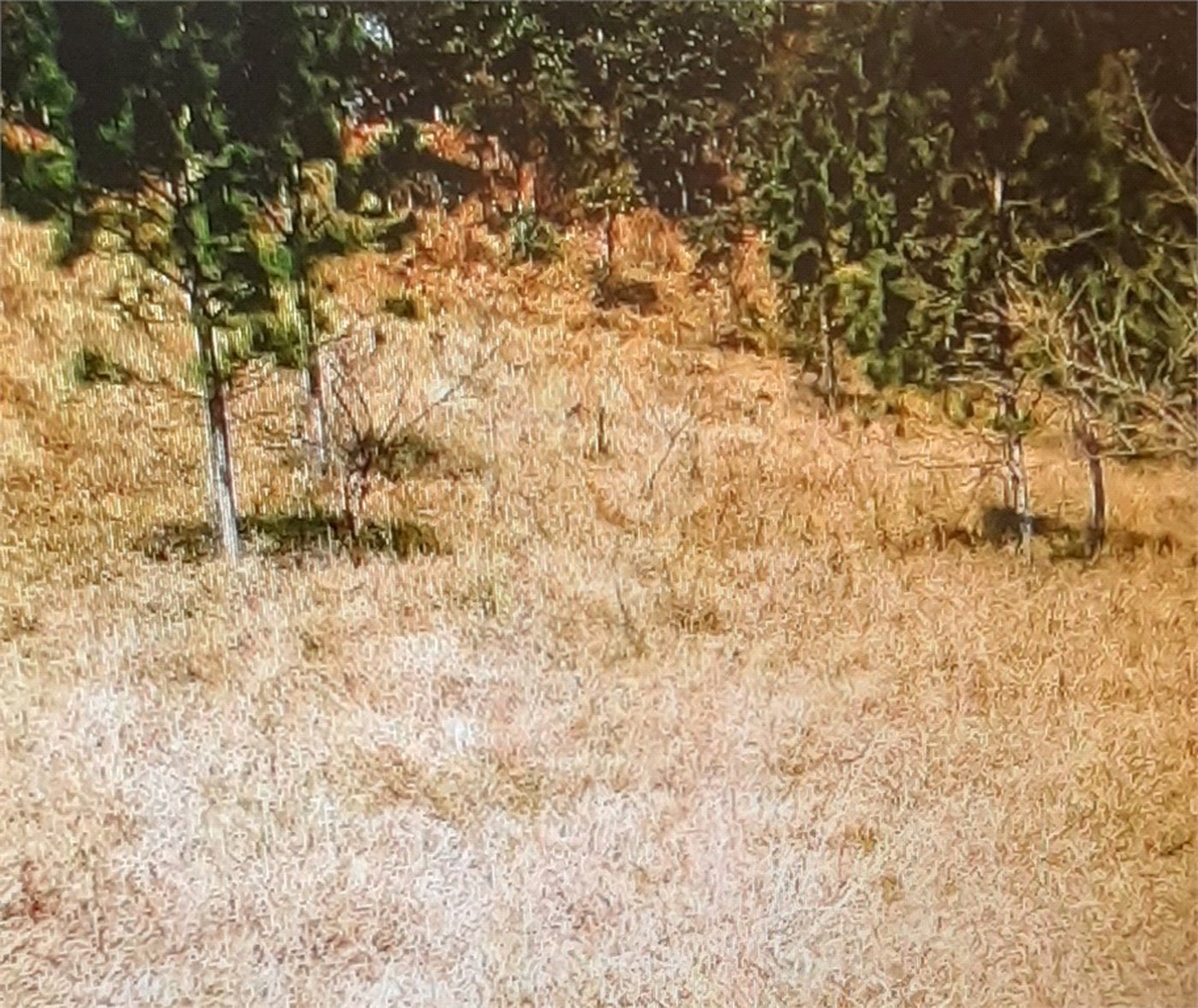 Terreno à venda em Estância Santa Maria do Portão, Atibaia, SP