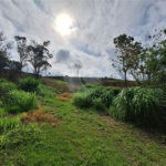 Área de Terra à venda com 1 suíte em Cocais, Itatiba, SP