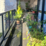 Apartamento à venda com 3 quartos, sendo 2 suítes, em Jardim Vila Mariana, São Paulo, SP