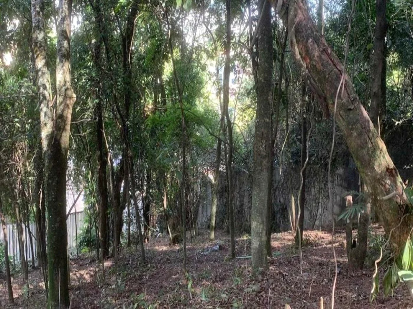 Terreno à venda em Jardim Peri Peri, São Paulo, SP