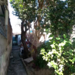 Área de Terra à venda com 1 quarto em Ferreira, São Paulo, SP