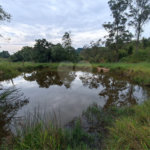 Terreno à venda em Residencial Reserva da Mata, Itapetininga, SP