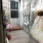 Casa Térrea à venda com 2 quartos em Santa Teresinha, São Paulo, SP