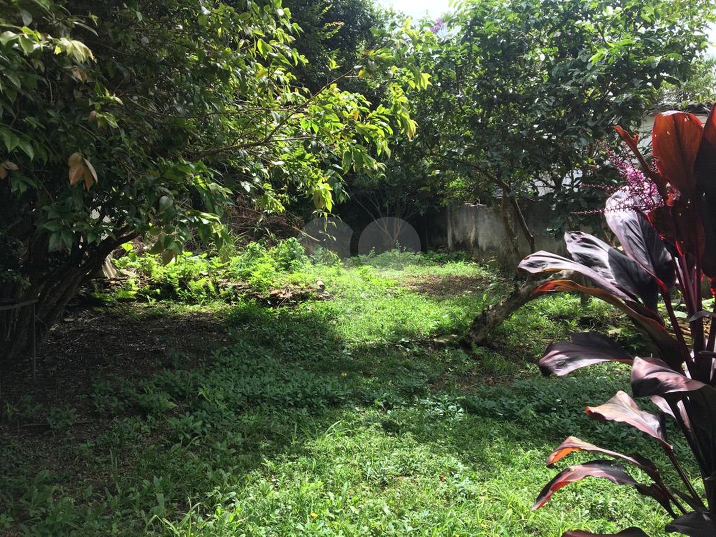 Casa à venda com 2 quartos em Horto, São Paulo, SP