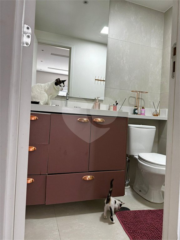 Apartamento à venda com 2 quartos, sendo 1 suíte, em Vila Guilherme, São Paulo, SP
