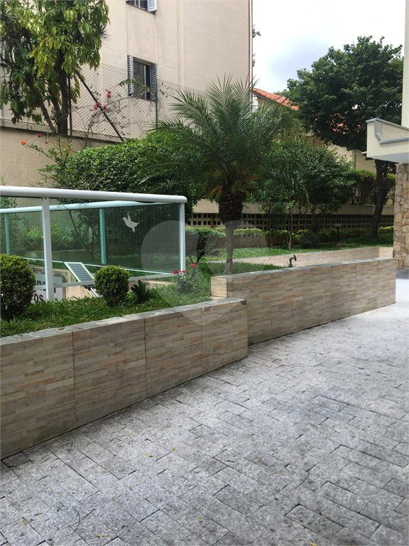 Apartamento para alugar com 3 quartos em Tucuruvi, São Paulo, SP