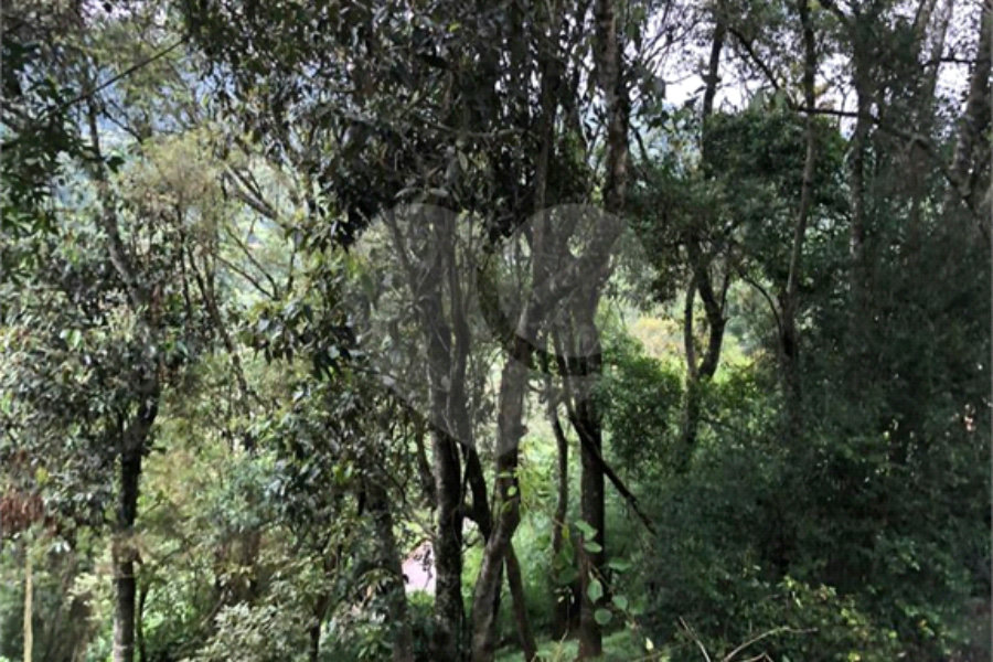 Casa à venda com 5 suítes no condomínio Alpes da Cantareira, Mairiporã - SP