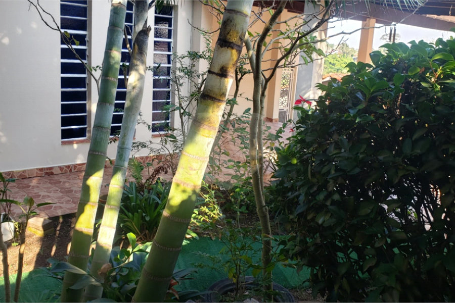 Sobrado à venda com 3 quartos, sendo 1 suíte, em Horto, São Paulo, SP