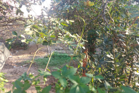 Terreno à venda em Santa Claudina, Vinhedo, SP