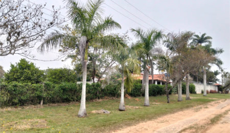 Chácara à venda com 2 quartos, sendo 1 suíte,  em Terras de San Thomé, Porto Feliz, SP