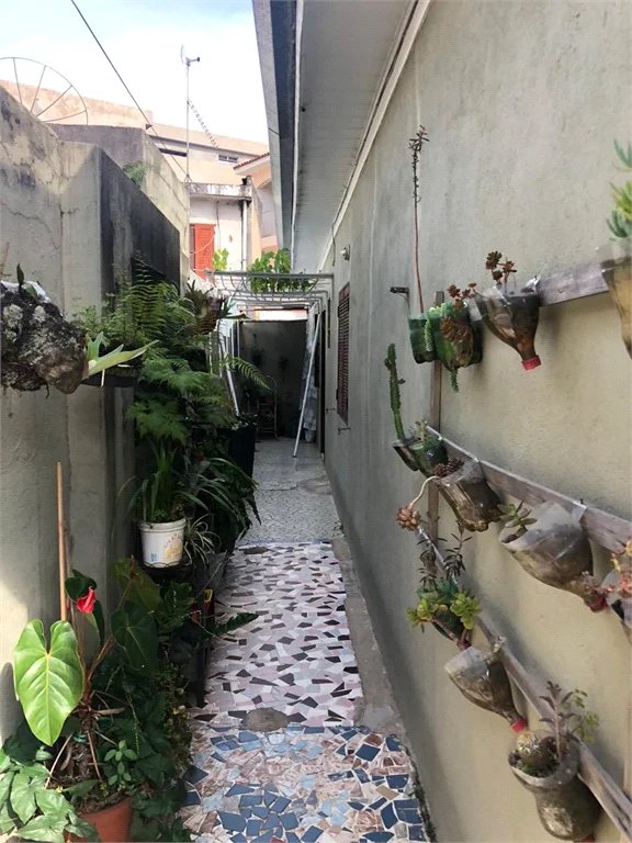 Casa à venda com 4 quartos em Vila Lageado, São Paulo, SP