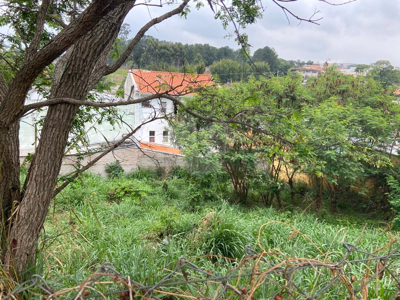 Terreno à venda no Centro, Vinhedo, SP