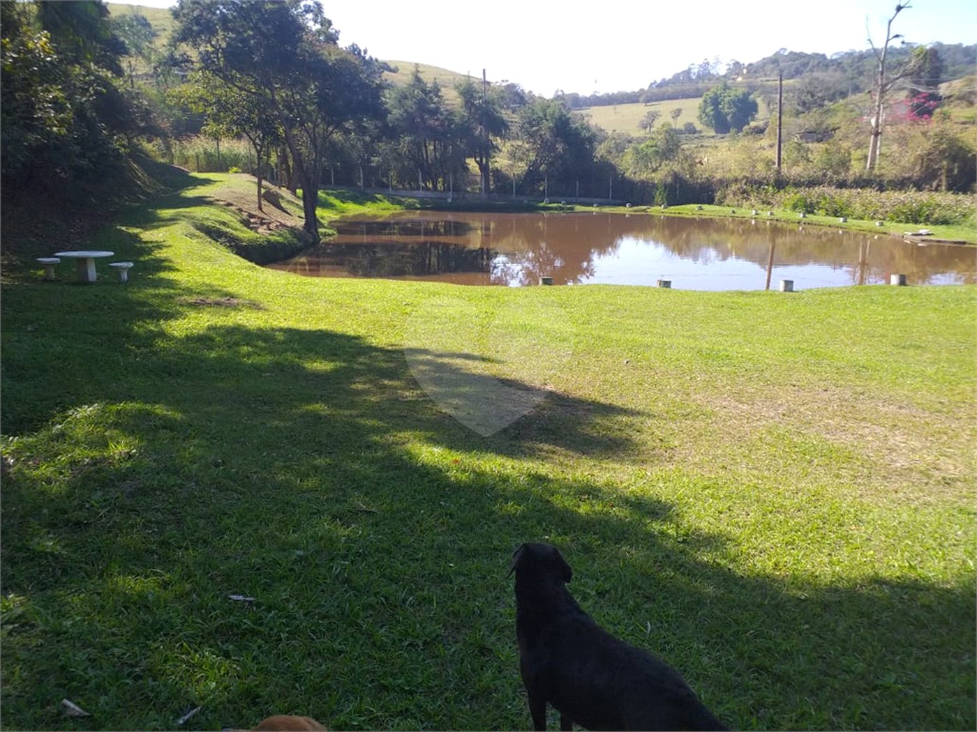 Sítio à venda com 4 quartos, sendo 1 suíte,  em Cruz das Almas, Biritiba-mirim, SP