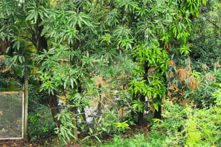 Chácara à venda com 3 quartos, sendo 1 suíte, em Jardim Buru, Salto, SP