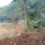 Terreno à venda em Vila Sol Nascente, Suzano, SP