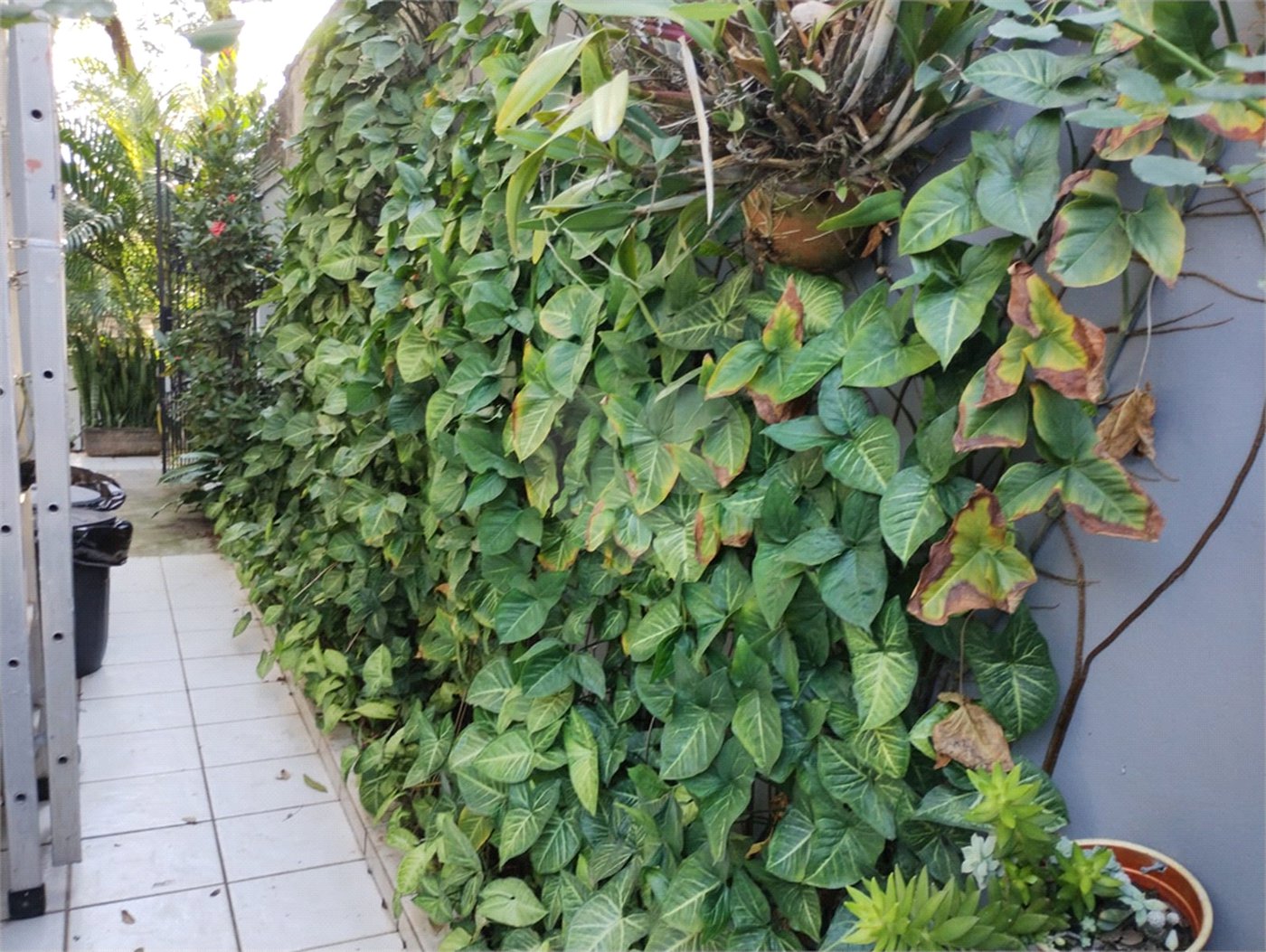 Casa de Vila à venda com 3 suítes em Jardim Londrina, São Paulo, SP