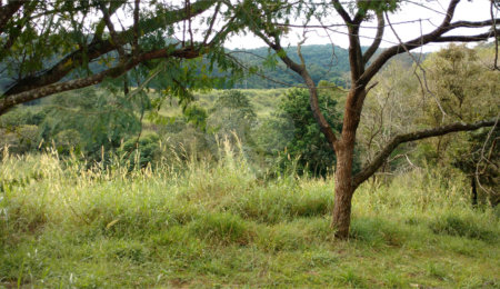 Terreno à venda em Horto, São Paulo, SP