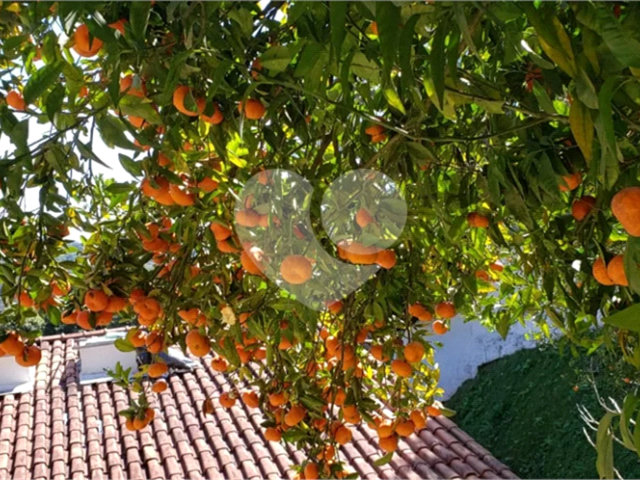 Casa à venda com 4 suítes no condomínio Alpes da Cantareira, Mairiporã - SP
