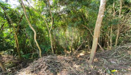 Condomínio à venda em Serra da Cantareira, Mairiporã, SP