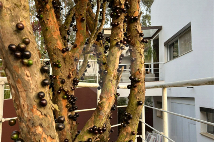 Casa à venda com 5 suítes no condomínio Suíça da Cantareira, Mairiporã - SP
