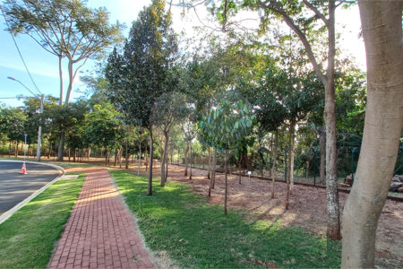 Terreno à venda em Residencial Alto do Castelo, Ribeirão Preto, SP