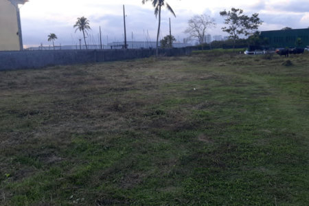 Terreno à venda, 10000 m² por R$ 8.500.000,00 - Cing - Guarujá/SP