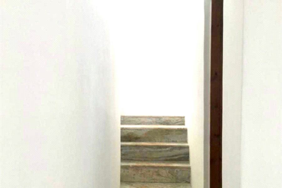 Casa Térrea para alugar com 1 quarto em Mandaqui, São Paulo, SP