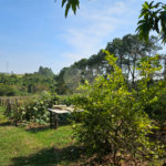 Sítio à venda em Mato Dentro, Indaiatuba, SP