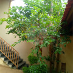 Casa à venda com 3 quartos, sendo 1 suíte,  em Mogi Moderno, Mogi das Cruzes, SP