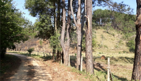 Sítio à venda com 3 quartos em Bairro do Cambará, São Roque, SP