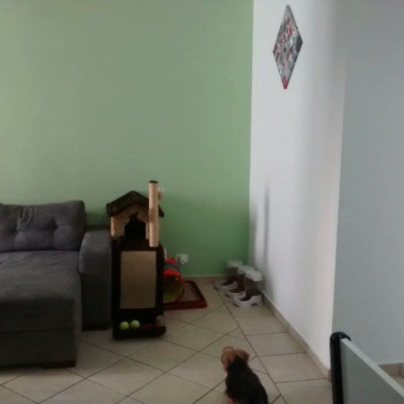 Apartamento à venda com 2 quartos em Jardim Ester, São Paulo, SP