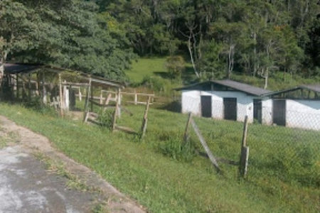 Sítio com 10 dormitórios à venda, 120000 m² por R$ 1.650.000,00 - Bairro Carmo Messias - Ibiúna/SP