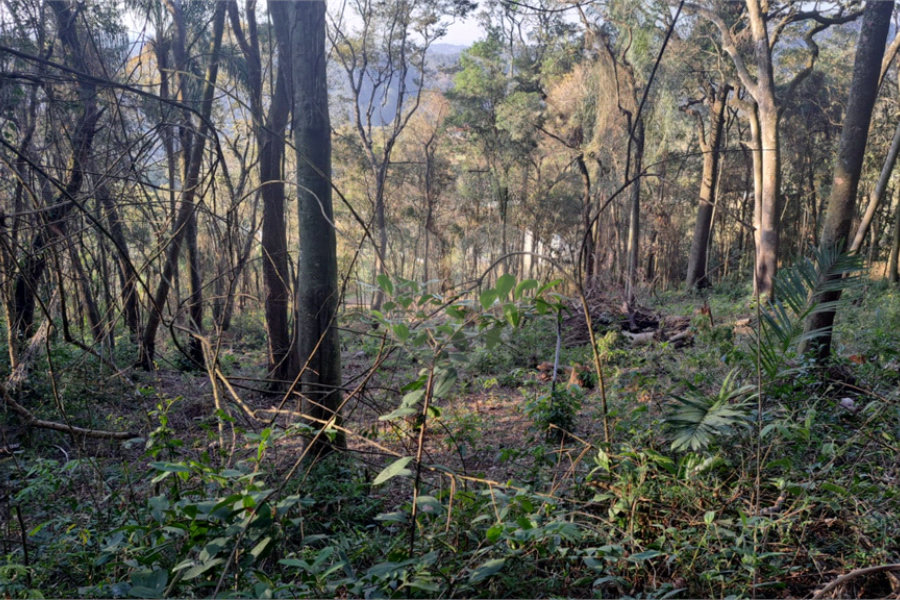 Terreno à venda em Serra da Cantareira, Mairiporã, SP